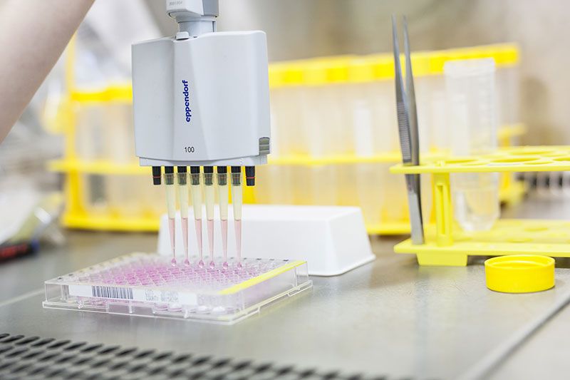 Centrum polymerních systémů